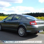 peugeot-407-feline