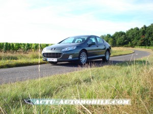 Peugeot 407 gris manitoba