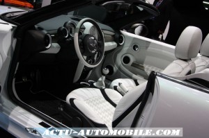 Mini Roadster